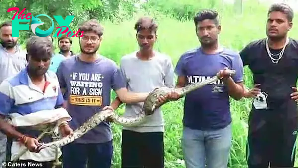 Volunteers pose with the six-foot-long Rock Python once it was rescued from the well. These snakes are not venomous and have been known to grow to 15ft long
