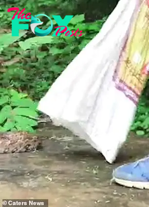 The snake, in a white bag, was taken to safety and released into the wild