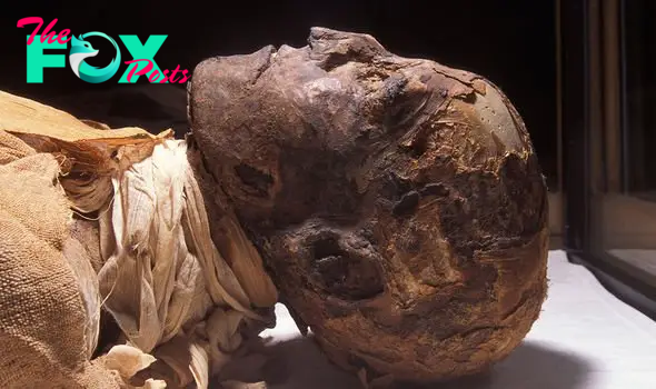 Ramses III was brutally murdered