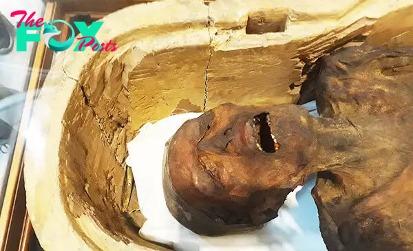 Screaming Mummy' displayed in Egypt museum | Arab News
