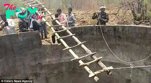 Villagers and forest rescue teams worked together to lower the makeshift ladder into the well. Wild animal sightings are said to be common in the area because of deforestation