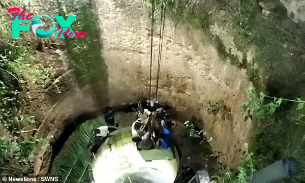 The veterinarians administer tranquilising darts to the elephant at the bottom of the well before attaching belts to pull the animal to the surface