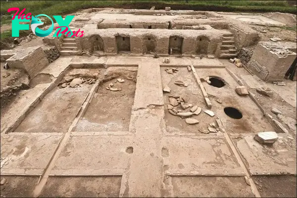 Ancient rubbish dump under Hatshepsut temple reveals hundreds of artifacts - Arkeonews