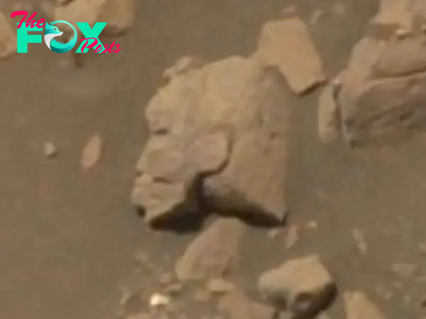 Was an ancient Egyptian 'warrior woman' statue spotted on Mars?