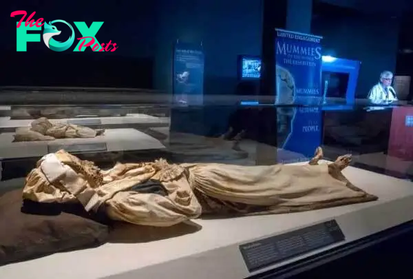 Finding the 300-year-old mummy of a mother and child in a church crypt, experts reveal the truth that tens of thousands of children in ancient times suffered - 4