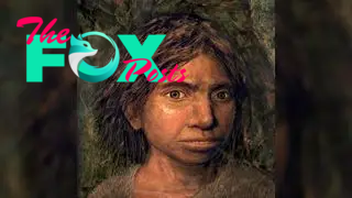 An illustration of a Denisovan girl with dark brown hair.