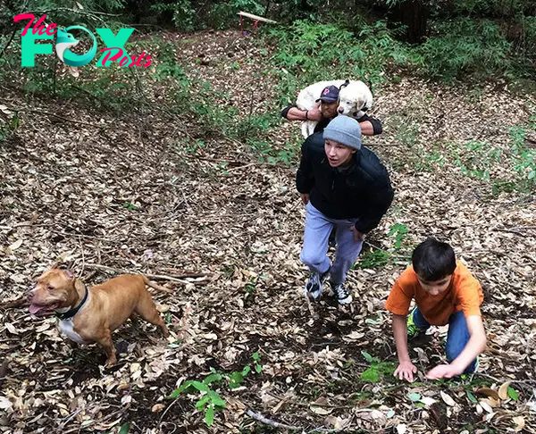 blind-dog-found-after-week-california-mountains-5