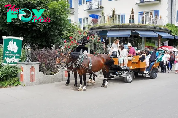 Horse-Drawn Carriage