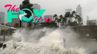 Breaking waves of a storm surge and palm trees being heavily blown by wind in Miami