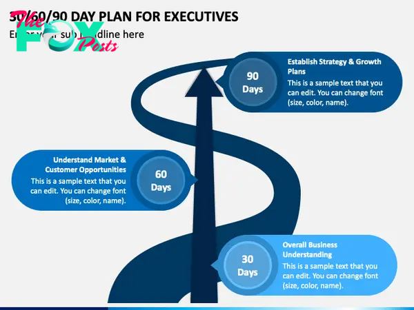 30 60 90 Day Plan for Executives