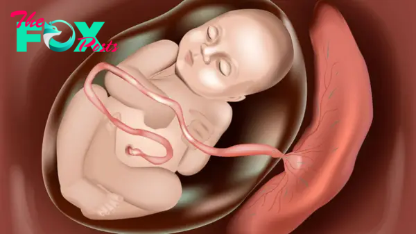 Nhau thai bám thấp có sinh thường được không? 1