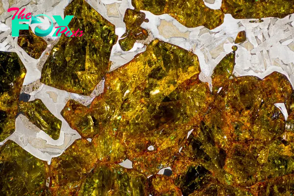 Picture of the Week: Fukang Pallasite