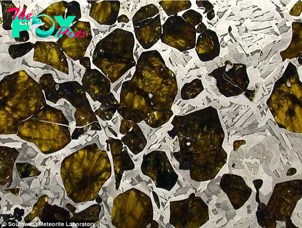 4.5 billion years in the making: Golden olivine meets silvery nickel-iron to create a stunningly beautiful mosaic effect