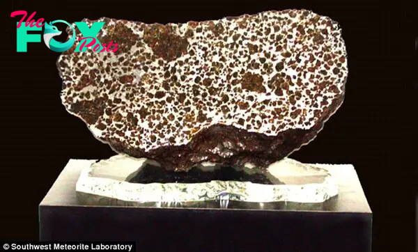 Valuable: The main mass of the Fukang meteorite, which failed to sell after being valued at $2million