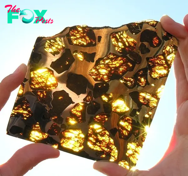 The Beautiful Fukang Meteorite | Amusing Planet