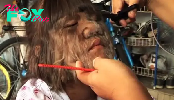 A little girl getting a hair cut, her face covered in fur-like hair, cluttered background.