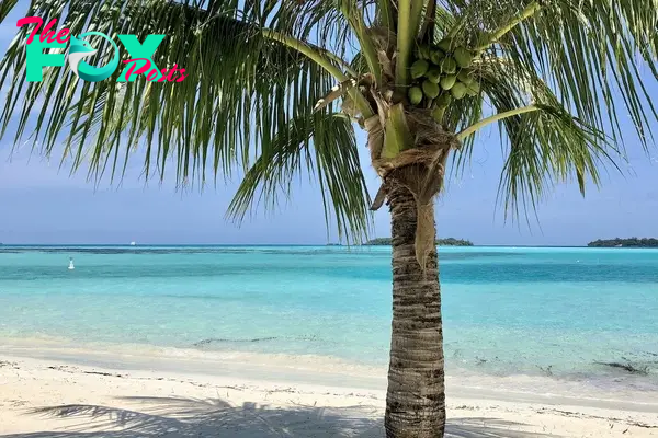 Maldivian Beaches