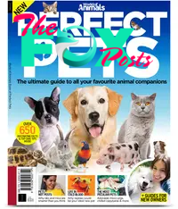 Perfect Pets: $11.99 at Magazines Direct