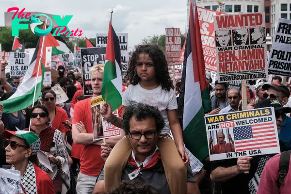 Demonstrators gather on Capitol Hill on July 24, 2024 to protest Israeli Prime Minister Benjamin Netanyahu's visit to the United States amid Israel's ongoing war against Hamas in Gaza.