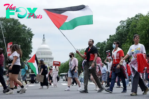 Pro-Palestinian activists wave the Palestinian flag during a protest near the U.S. Capitol in Washington, D.C., on July 24, 2024.