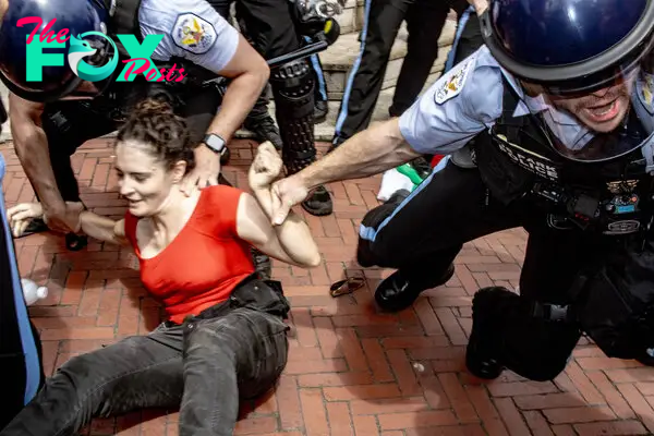 Pro-Palestine protestors are arrested outside Union Station in Washington, D.C. on July 24th, 2024.