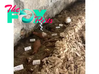 A photograph showing fragments of pottery on the floor of a tomb