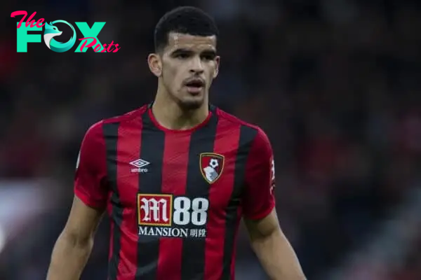 BOURNEMOUTH, ENGLAND - Saturday, December 7, 2019: AFC Bournemouth's Dominic Solanke during the FA Premier League match between AFC Bournemouth and Liverpool FC at the Vitality Stadium. (Pic by David Rawcliffe/Propaganda)