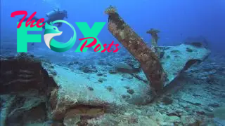 Divers explored the wreck of the US F4U–4 Corsair fighter-bomber on Iriomote Jima in March 2019.