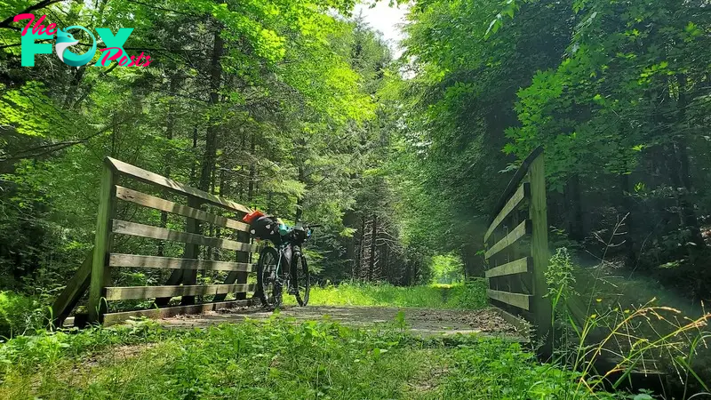 Bike in Forest