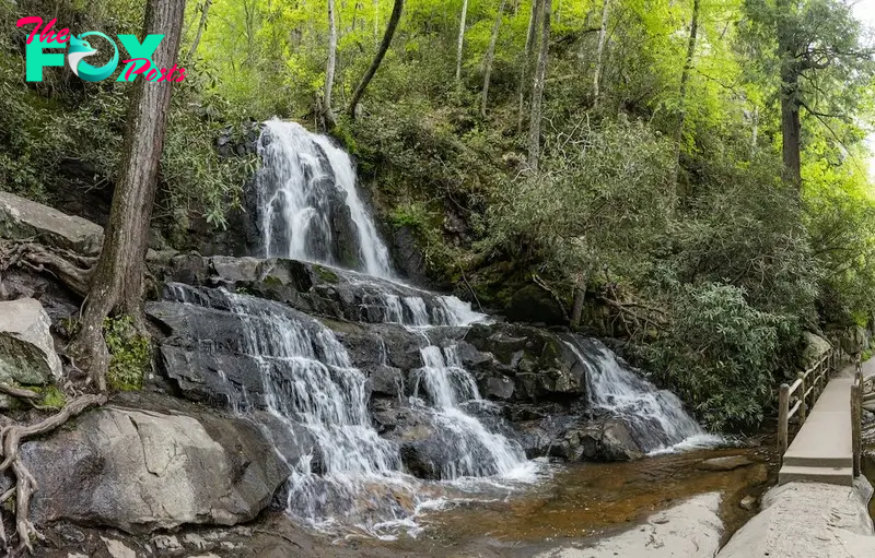 Laurel Falls