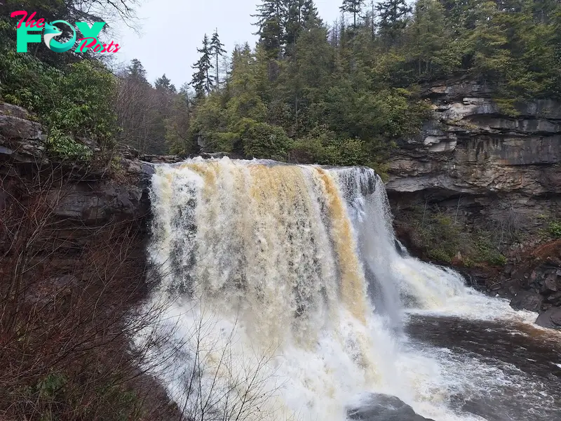 Blackwater Falls