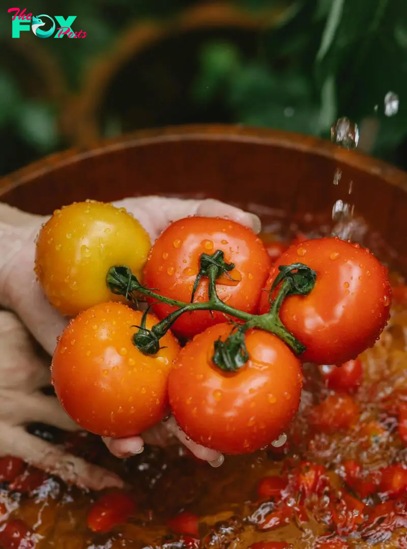 A batch of washed garden tomatoes | Source: Pexels