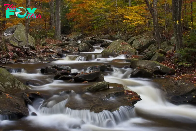 Flowing Stream