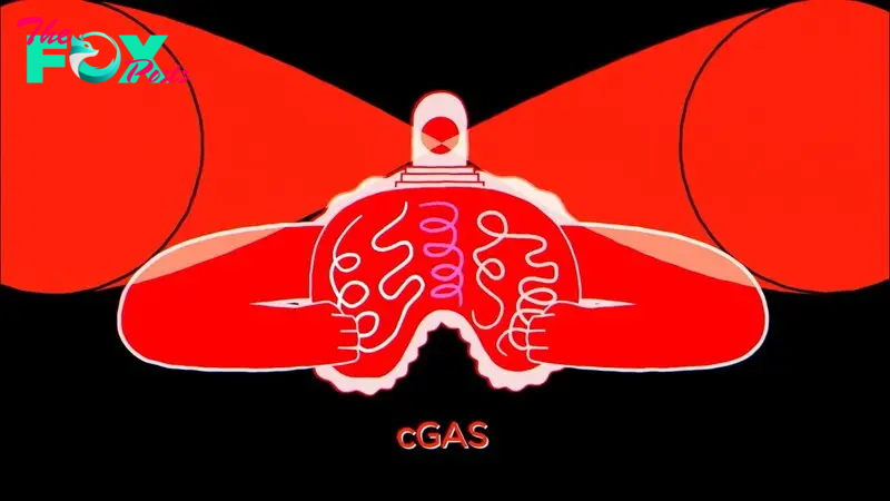 cGAS: Sounding the alarm on self and foreign DNA - YouTube