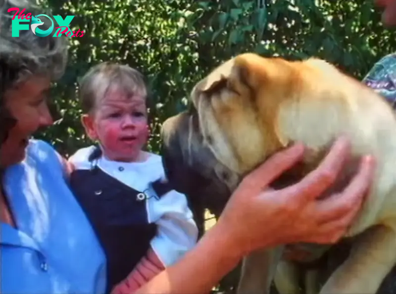 Debbie Tennent holds her son, Tomm Tennent, while petting a Shar Pei | Source: YouTube.com/60 Minutes Australia