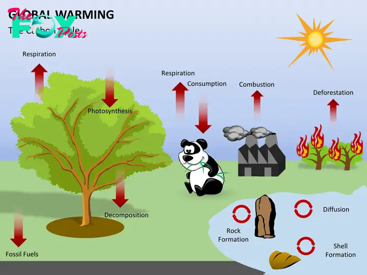 Global Warming PPT