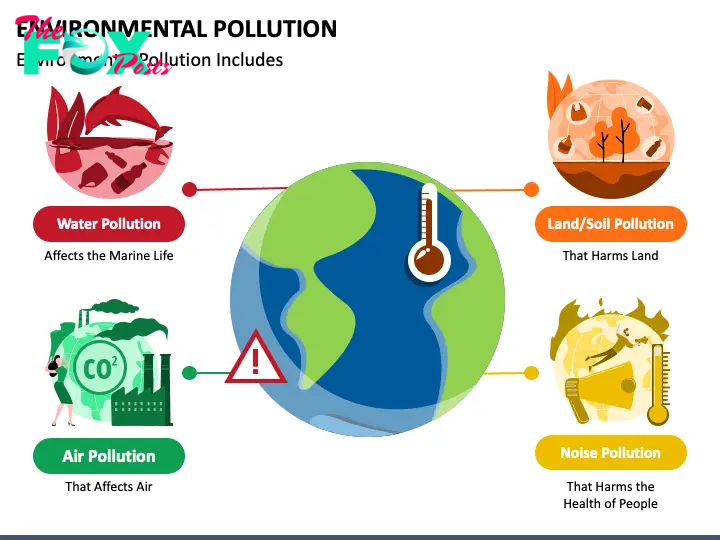 Environmental Pollution PPT