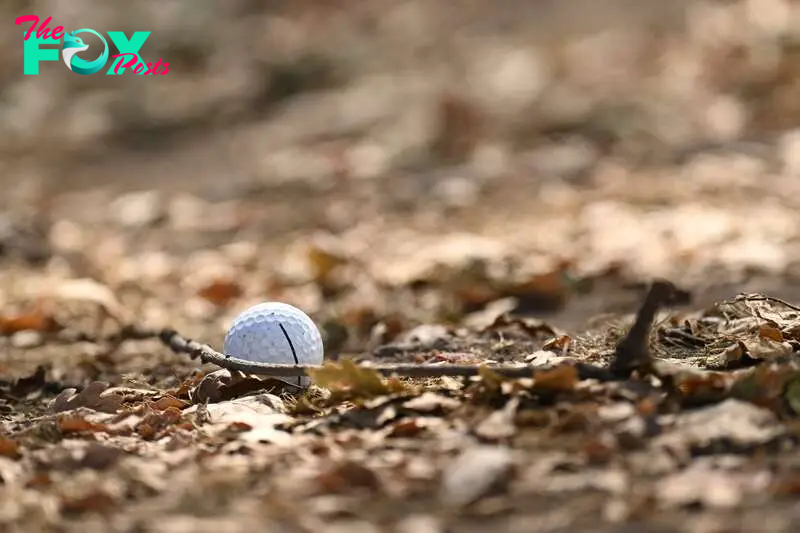 NAPA, CALIFORNIA - SEPTEMBER 15: The ball of David Lipsky of the United States is seen on the third hole during the final round of the Procore Championship 2024 at Silverado Resort on September 15, 2024 in Napa, California.   Eakin Howard/Getty Images/AFP (Photo by Eakin Howard / GETTY IMAGES NORTH AMERICA / Getty Images via AFP)