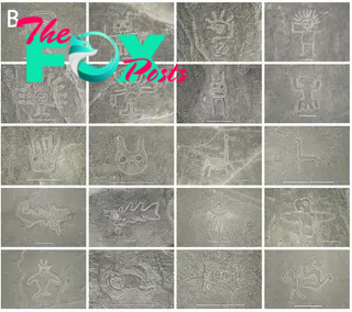 A grid of 18 different nazca lines including shapes of people, heads, animals, birds and groups of people