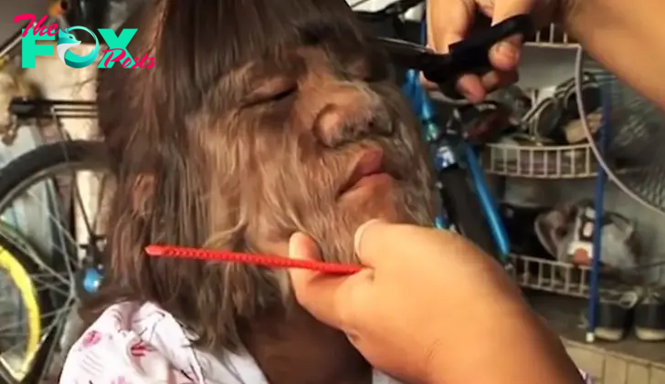 A little girl getting a hair cut, her face covered in fur-like hair, cluttered background.