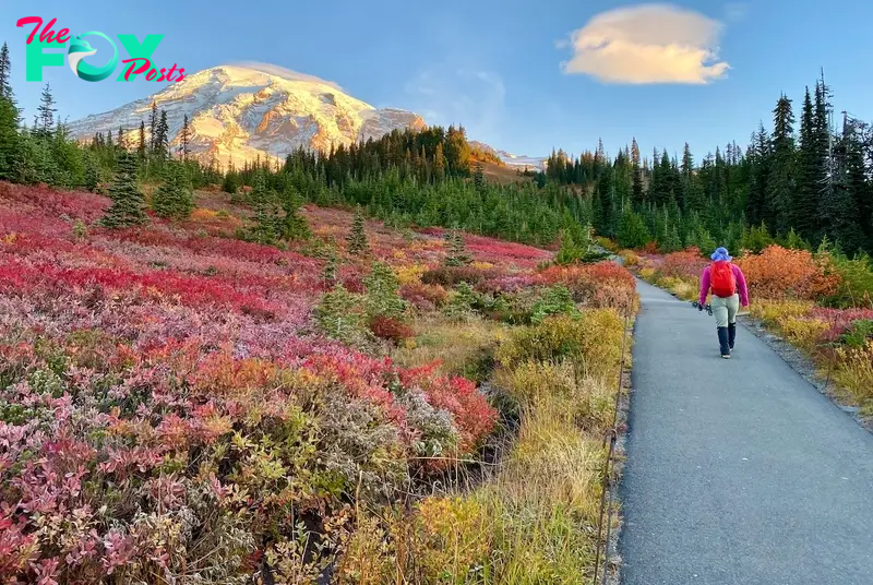 Mount Rainier Fall Foliage