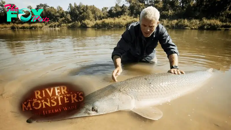 Reeling in A HUGE Alligator Gar | ALLIGATOR GAR | River Monsters - YouTube