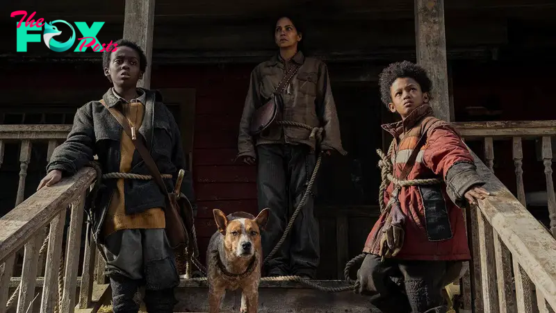 A woman (Halle Berry) standing on a porch next to two young boys with rope tied around their waists connected to a dog in Never Let Go.