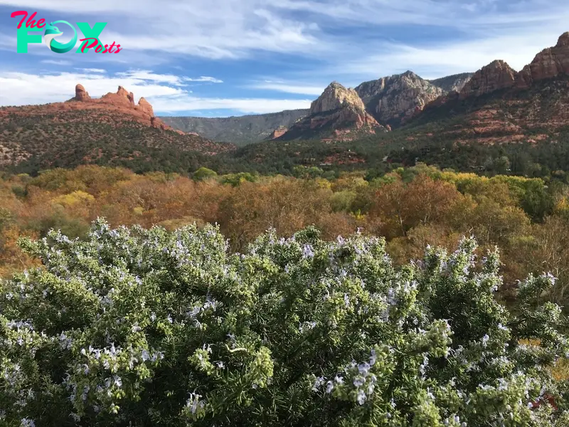 Sedona