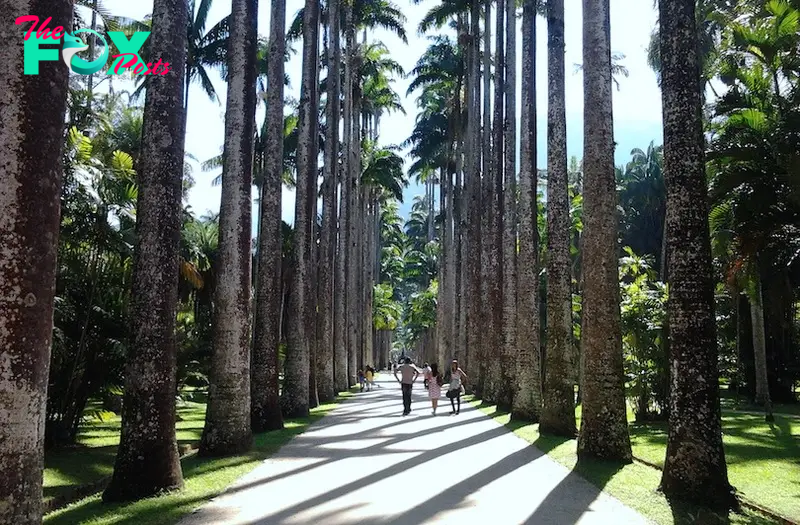 Jardim Botanico