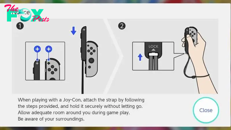 Nintendo Joy-Con Instructions