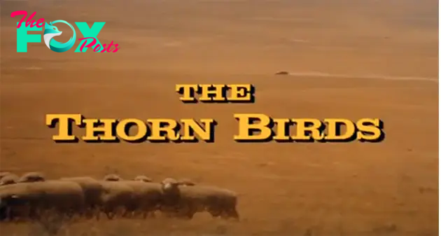 Thorn Birds