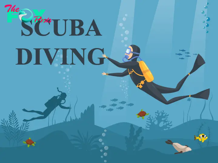 Scuba Diving Slide