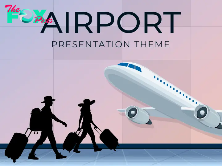 Airport Theme Slide