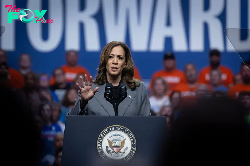 Kamala Harris Holds Presidential Campaign Rally In Madison, Wisconsin